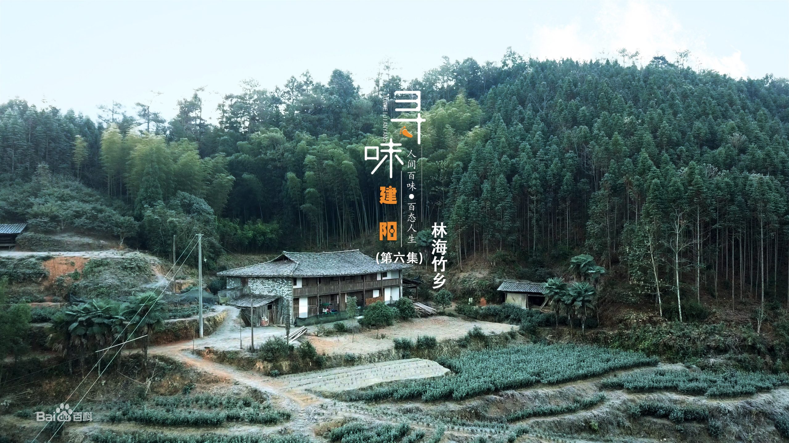人文美食的纪录片《寻味建阳》第六集：林海竹乡