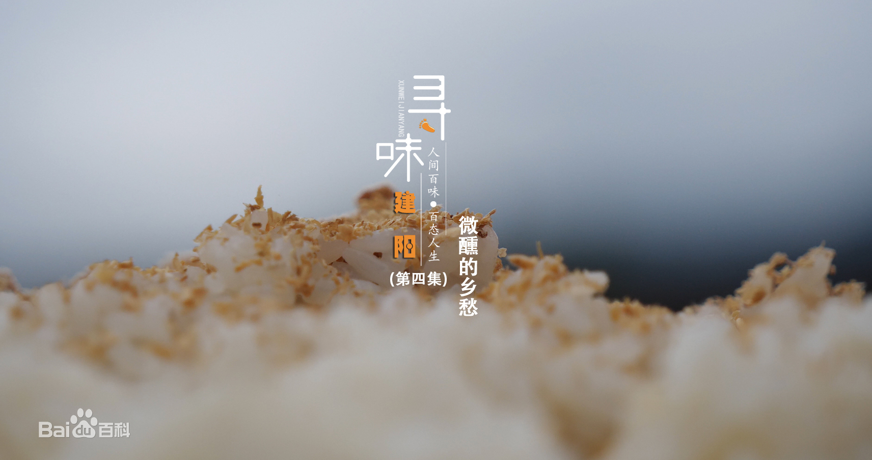 人文美食的纪录片《寻味建阳》第四集：迁徙而来的烤酒