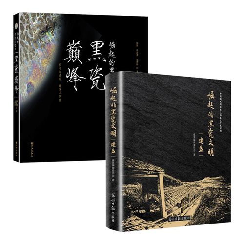 2016年及2018年出版的书籍《崛起的黑瓷文明》系列