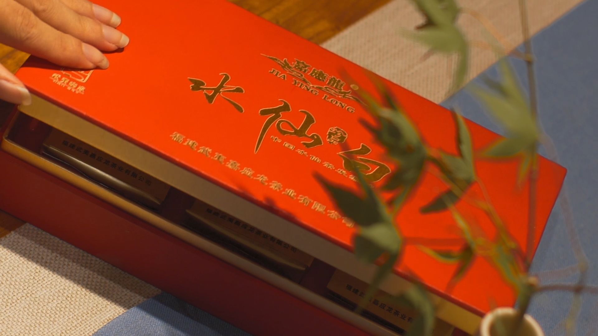 嘉应龙水仙白