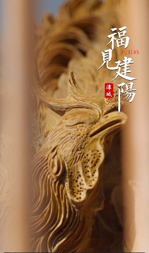 【福见建阳】建阳-根雕