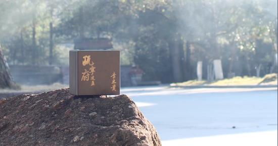 谷雨虹影