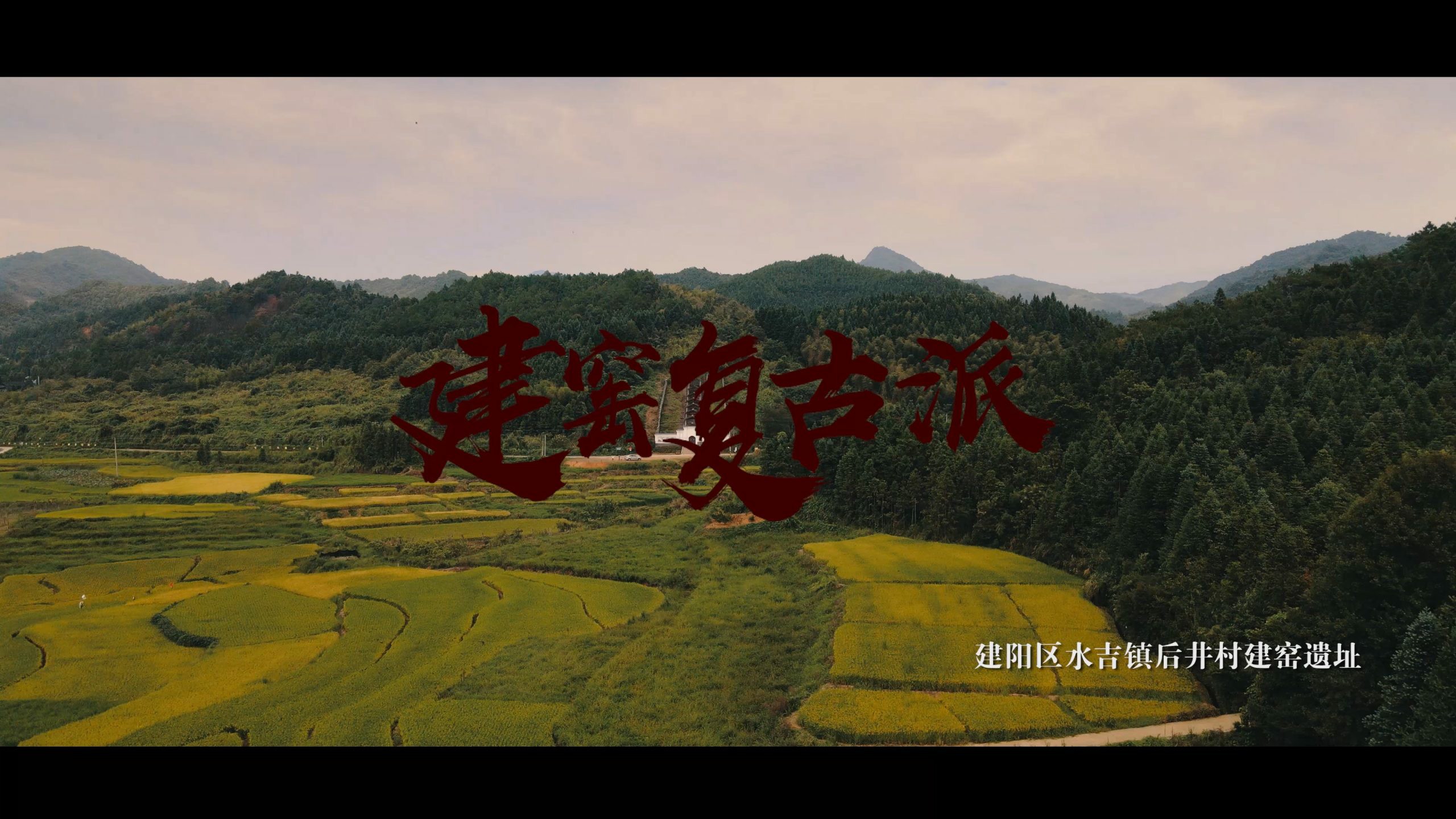 建窑复古派-非遗传承人廖成义