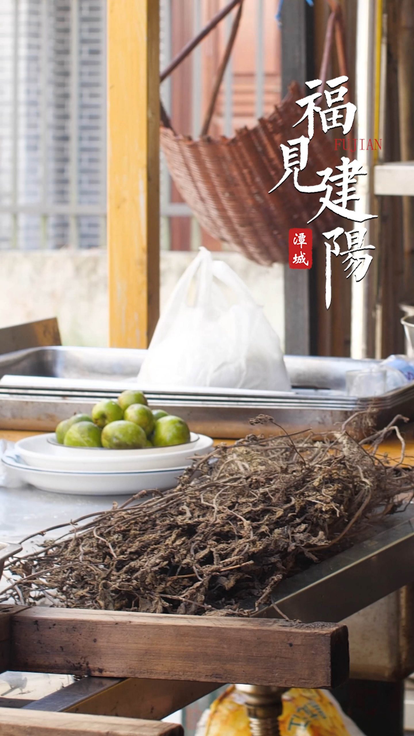 福见建阳-新娘菜