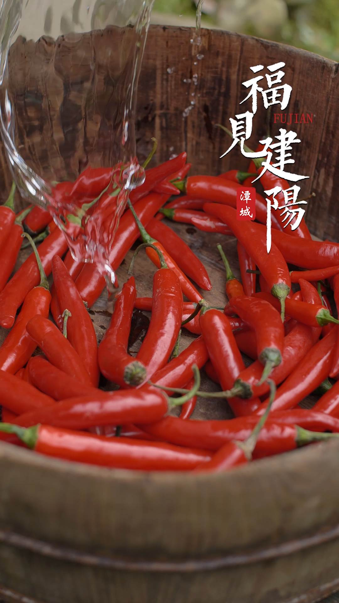 福见建阳-辣椒酱