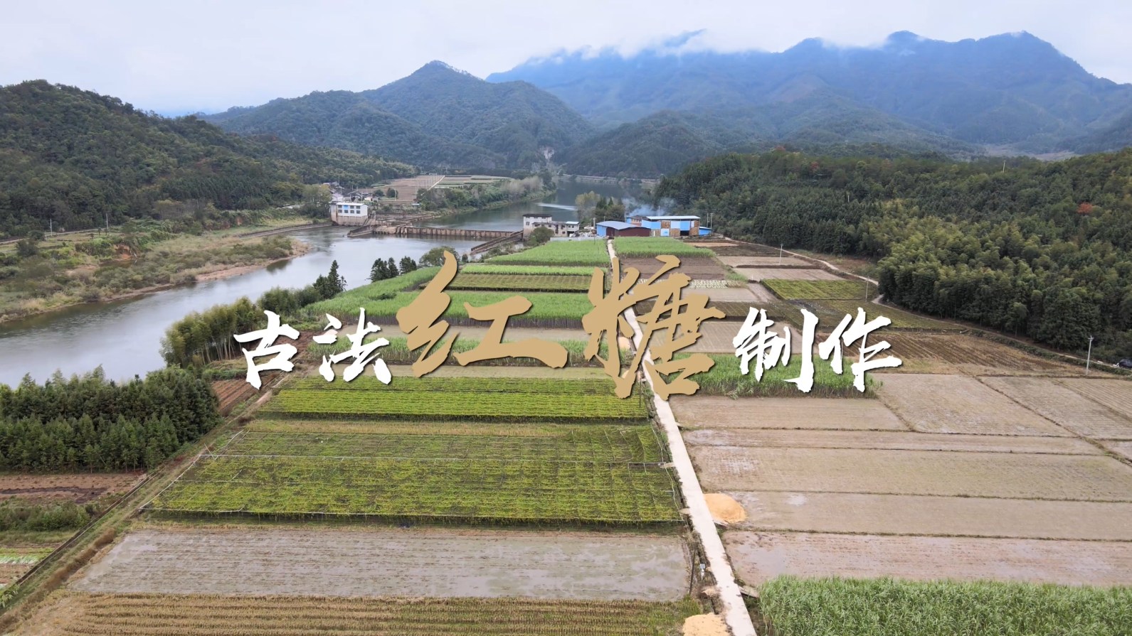 建阳小湖古法红糖制作技艺