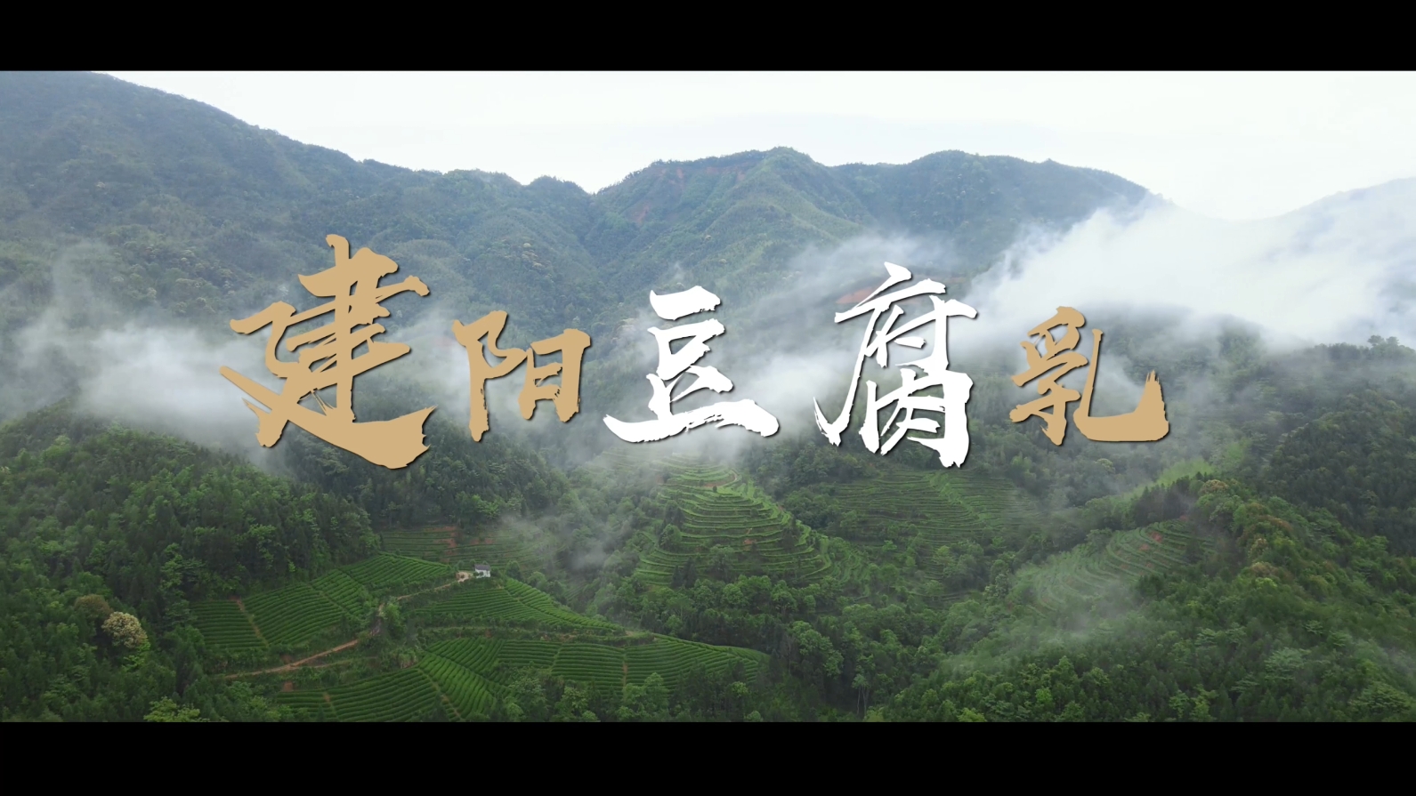 豆腐乳制作过程