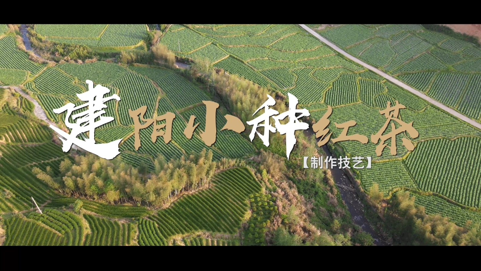 建阳区小种红茶制作技艺