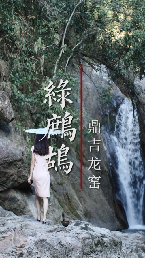 杨敏作品-绿鹧鸪