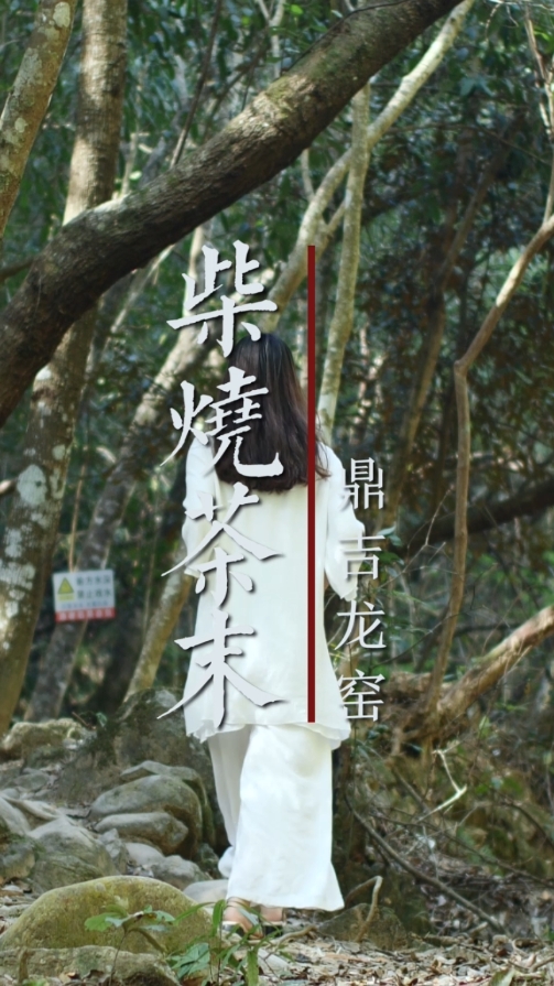 杨敏作品柴烧茶末