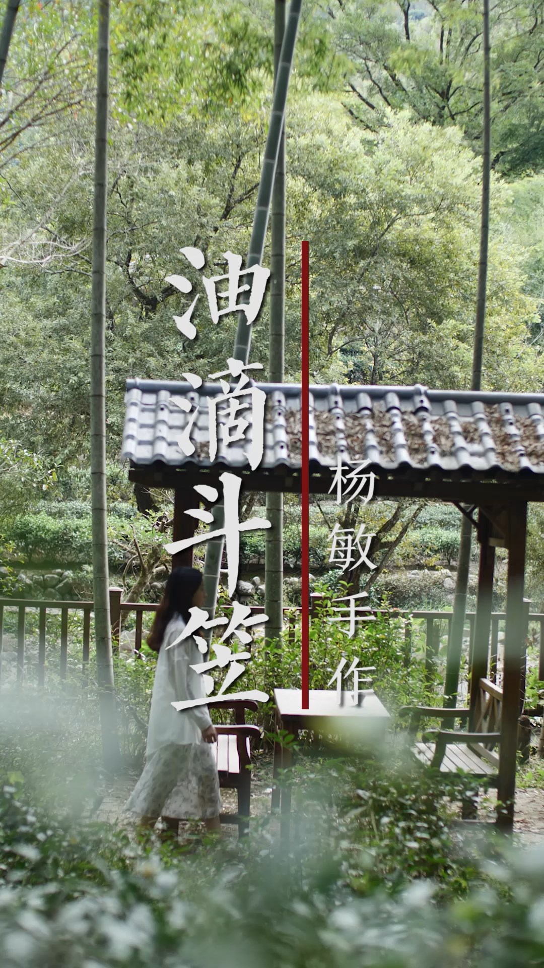 32.杨敏作品油滴斗笠