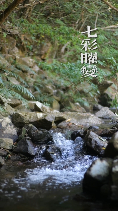 邹云源手作七彩曜变