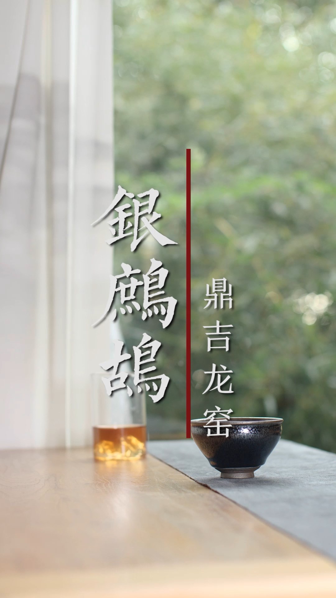 杨敏作品银鹧鸪