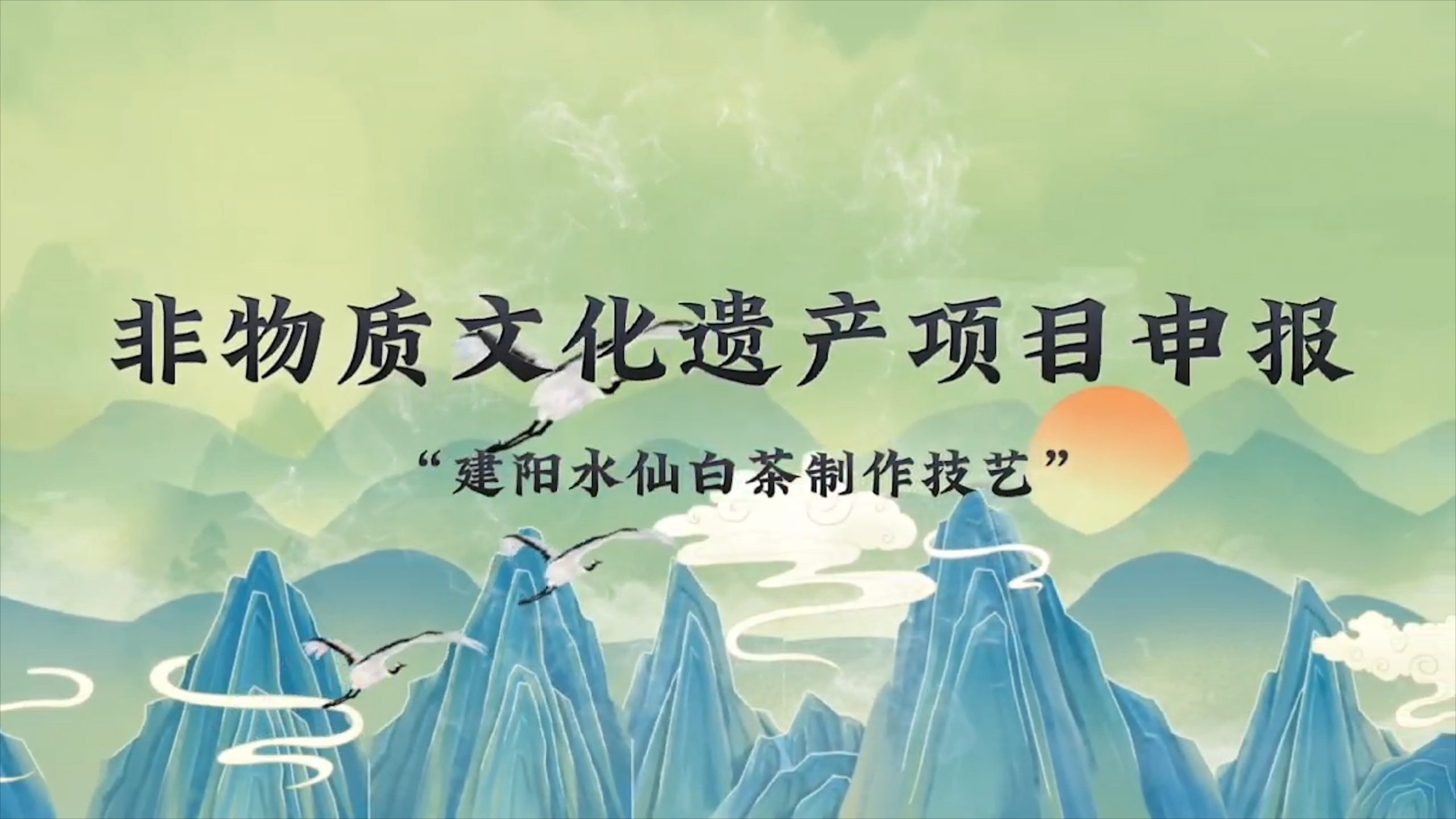 建阳水仙白茶申报