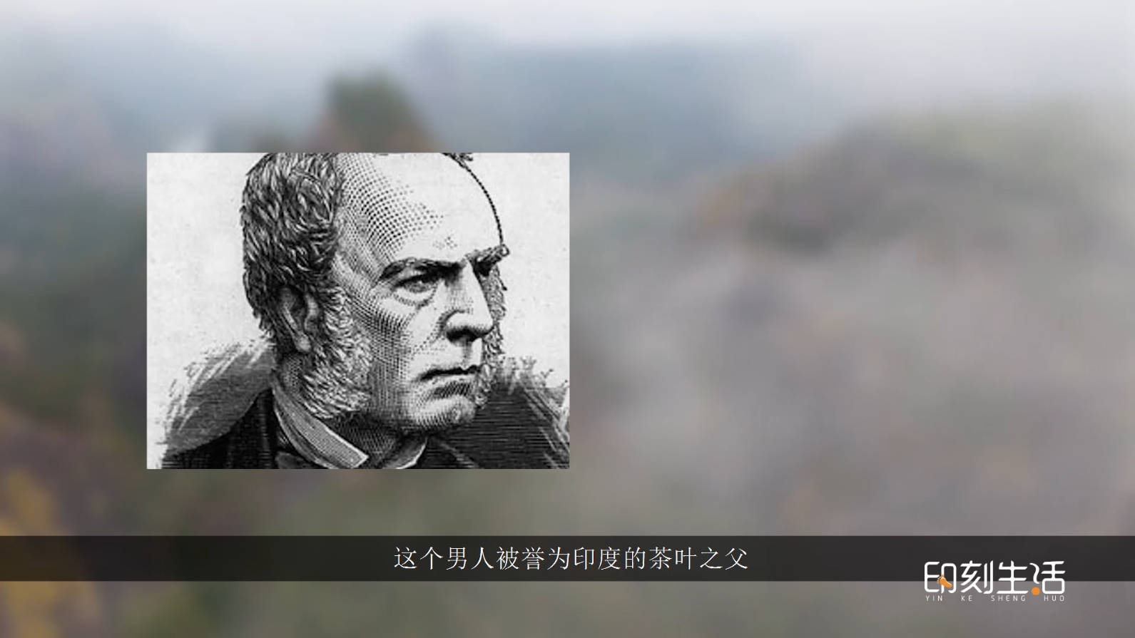 茶圈阿斗第六集：茶叶大盗的故事