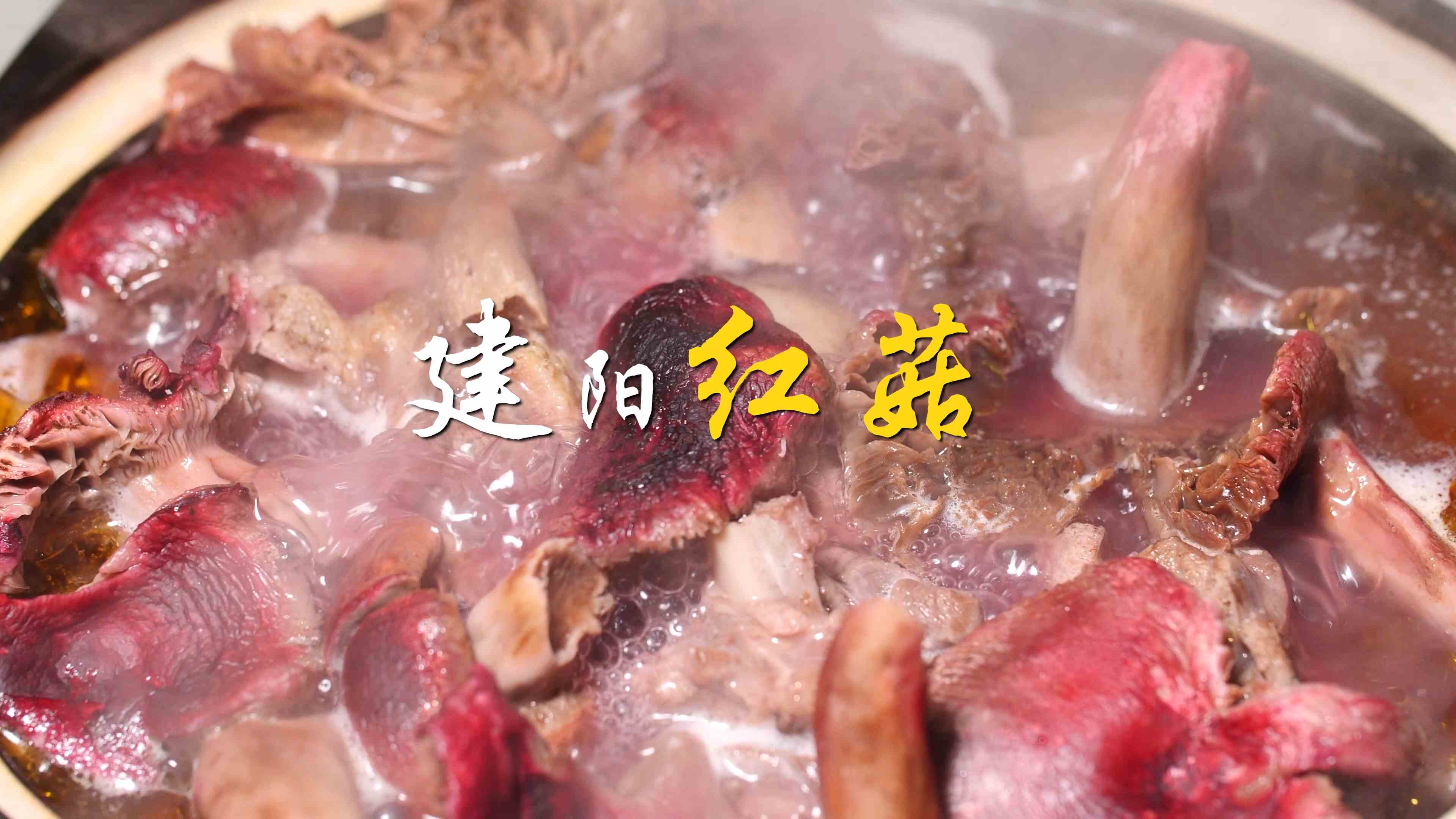 多彩建阳第四十二集：建阳红菇