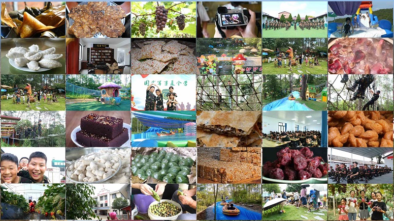 溪源村：党建引领促发展 三乡人共绘振兴画卷