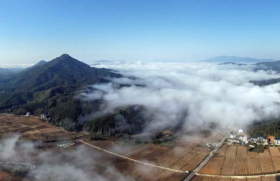 归来，是另一场深耕的开始