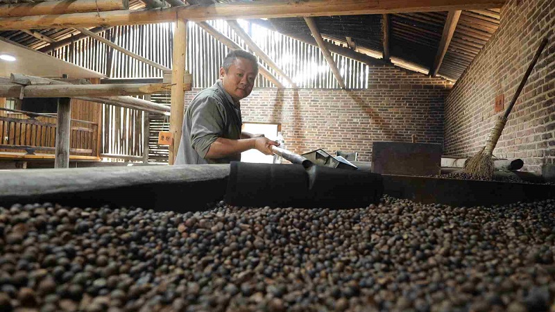 古法山茶榨油-山间的金泪​